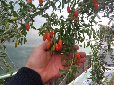 ����� �����: ����� ��������� ���� � ������� �������� ������