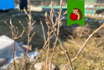 ������ ��������� ���������: ������ �� ���������� � ������ �����