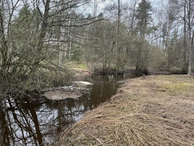 �� ��������� �� 23 ������ �������������� ���������� �� ���������� ������ �������� ����������