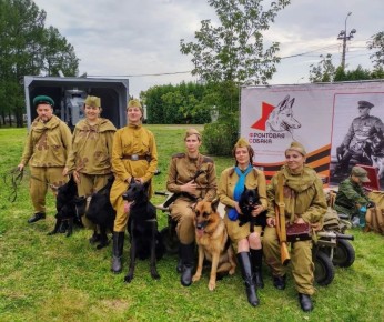 ������ �����������: ���������� ������ ����� ������ � ������������