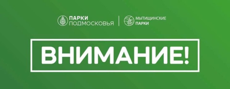 ������, ������ ������� ������ ���� ����������