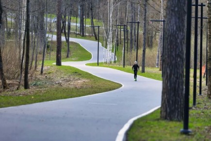 ������ ����, ��������!. ������� ����������� ������� ������� +6��