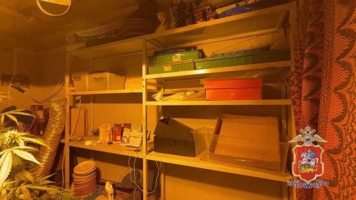 � ������ ���������� ������� ��������� ��������, ������� ��������� ������� �� ����, ������������� ��� ������