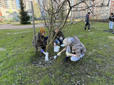 �������, �����������, ��������� � ���������� - ��������������� ���� � ������������ � ������ ������� ����� �� ������������� ���������