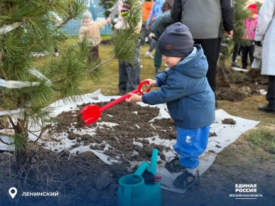 ��������� ����� ��������� ������ ���� ����� ����������� �������� � ������� ������� ����, � ����� ���� �������