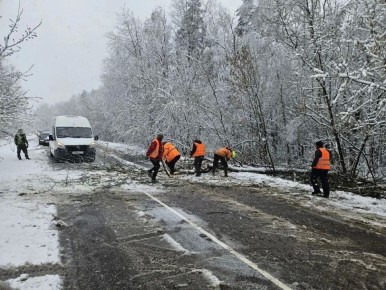 ������� ������: ������ �� ���������� ����������� �������� ������������