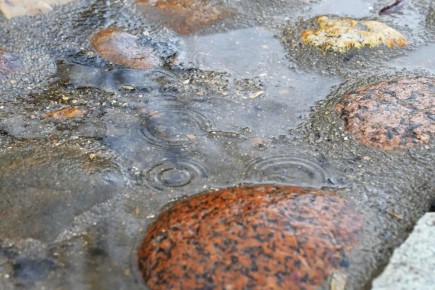 �������� ���������� ������������ ��� ���������������� ��������������