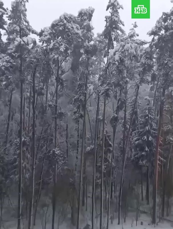 ��� ����� � ������������� ������������ �������� ������������: � ������������ �������� ����� ������� �� ����������