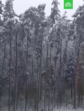 ��� ����� � ������������� ������������ �������� ������������: � ������������ �������� ����� ������� �� ����������