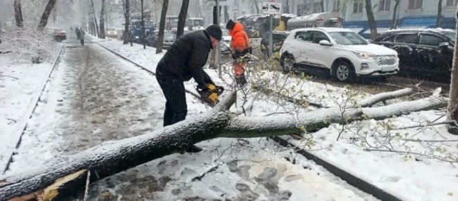 �������� � ������������ ������ ������� ����������� ����������� �������� �������