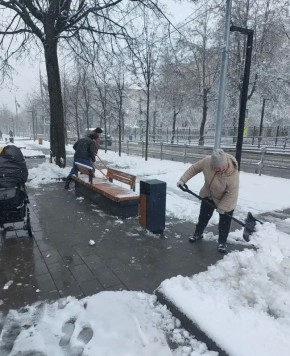 ������ ����������: � ������� ������������ � �������� ������ �������� ��� ����������� ����������� ���������