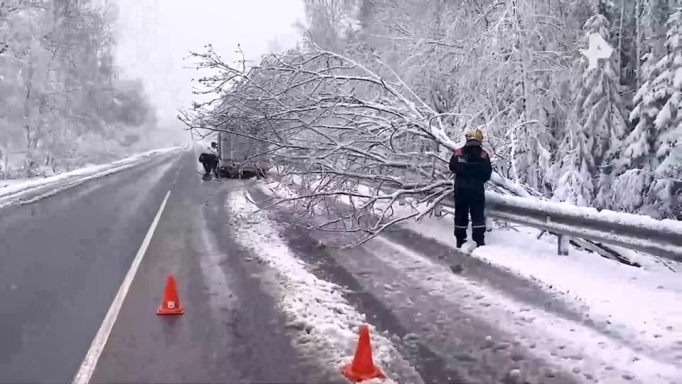 �������� ������� � ����������� ��������������� ����� �������� ��������