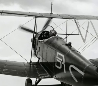 ���� ������: ������� ��������� ����� �������