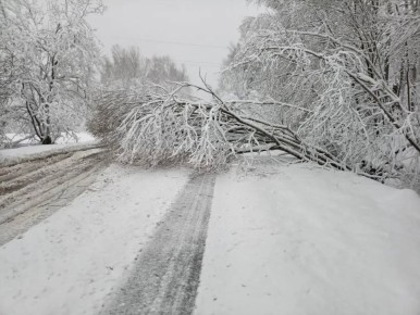 ���������� �������������� ���������� ������������� ���������� �� ����� � ����������� ����� ������� � ����� ������