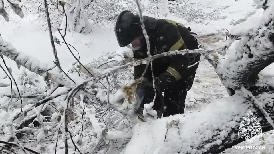 ������ ���������� ���������� ����������� �� ���������