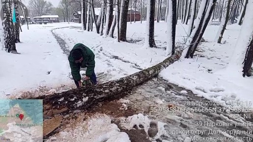 � ���� ���: ���������� ����������� �������� � ������ ������������� �������� � ������� ������