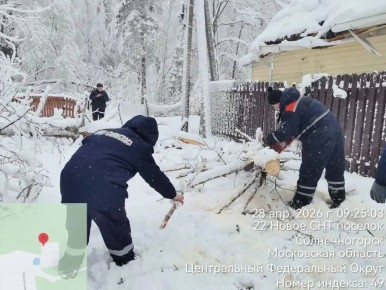 ���������: ������ ������� �������� � ��������������