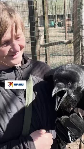 ��������� ������� ������ ������ �� �������, � ��� ������ ������?