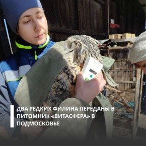 �� ���������� ���������������� ��� ������������� ������ �������� �� ������������� ����� ����� � ����� ����� ����� � �������� ������ ����� ���� ���������� � ��������� (���������� �������)