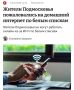 ������ ������: � ����������� �� ������ ������� ��������� � �������� ��������