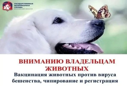 ���������� �������� �������� ���������� �� �������� �����������, ����������� � ���������� � ���� ����������