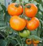 �������� �� ����� ����: 7 ������������� ������ ��� ������� �������
