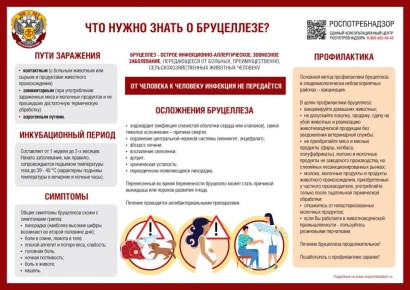 ���������: ���������. ��������������� ���������� � ���������� � ������� ������������ �����������, ������� ��������� �� ������� �������� (���, ����, ������ ��� �����) ��������