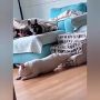 ����������� ������ � ������ ��� ��� ������������ ���� �����