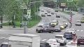 Росгвардейцы помогли утиному выводку перейти оживленную дорогу в Подмосковье