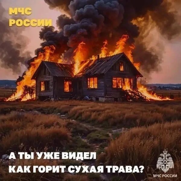 В Московской области введён особый противопожарный режим