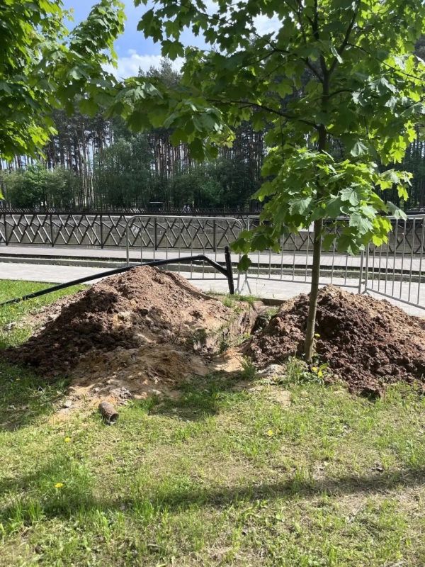 В парке «Ёлочки» продолжается модернизация системы водоотведения