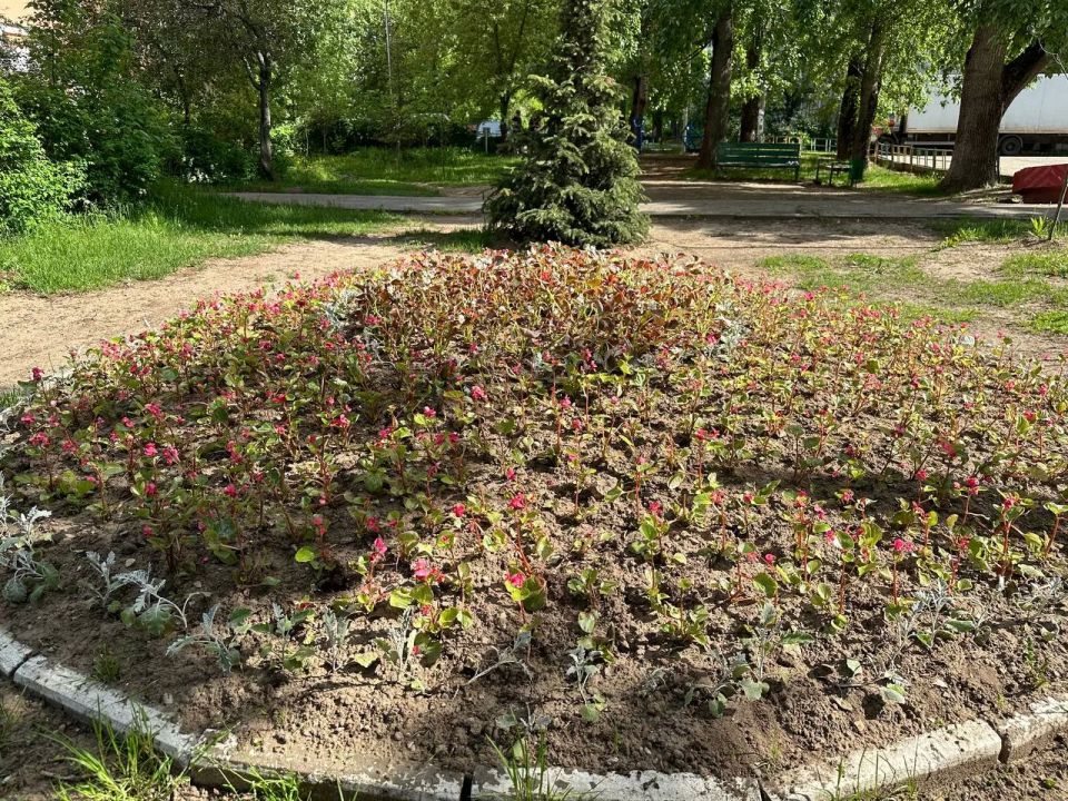 В поселках Люберец стартовало летнее озеленение общественных пространств В поселках Люберец стартовало летнее озеленение общественных пространств