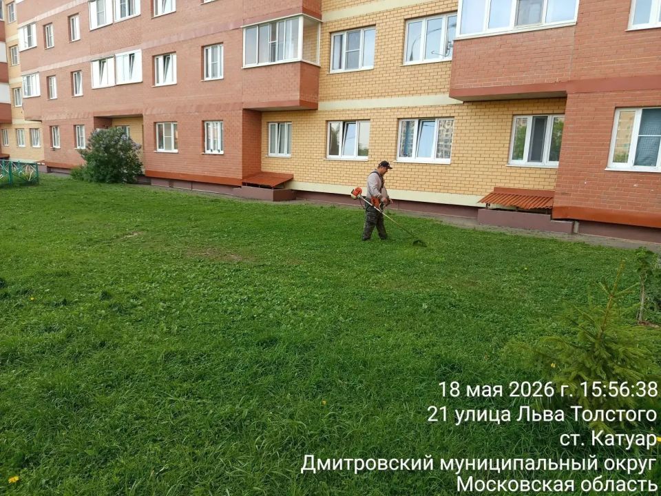 Что сделано за последние дни: сводка по округу Что сделано за последние дни: сводка по округу