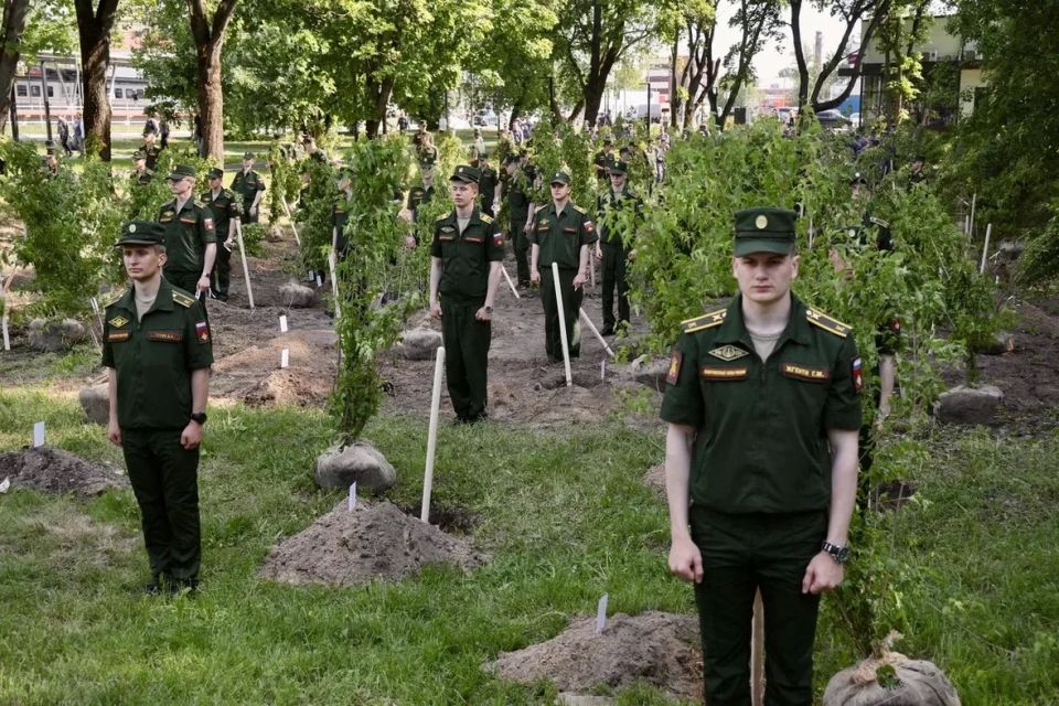 В Балашихе высадили деревья в память о героях специальной военной операции В Балашихе высадили деревья в память о героях специальной военной операции