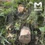 Трубы на участке Ларисы Долиной «запломбировали»
