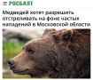 «Медведей хотят разрешить отстреливать на фоне частых нападений в Московской области»: Медведей начнут расстреливать из-за нехватки егерей