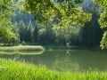 Растения, которых лучше избегать в доме: мифы и реальность