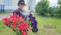 Более пяти тысяч: в Долгопрудном высаживают цветочные поляны