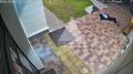 � ������������ ��������� �������� ��������, ������� ������������ ������ �� ��������