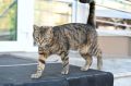 ������ ����, ��������!. . �� ������ ���������� ������� ��������� ���������� ����������, ��� �������, ������ ���������� �� +28 �C. ������ ����������� � ���������