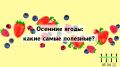 Осень в ягодах: как поддержать здоровье простыми удовольствиями