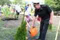 Более 250 деревьев и кустарников высажены в Дмитрове на улице Космонавтов