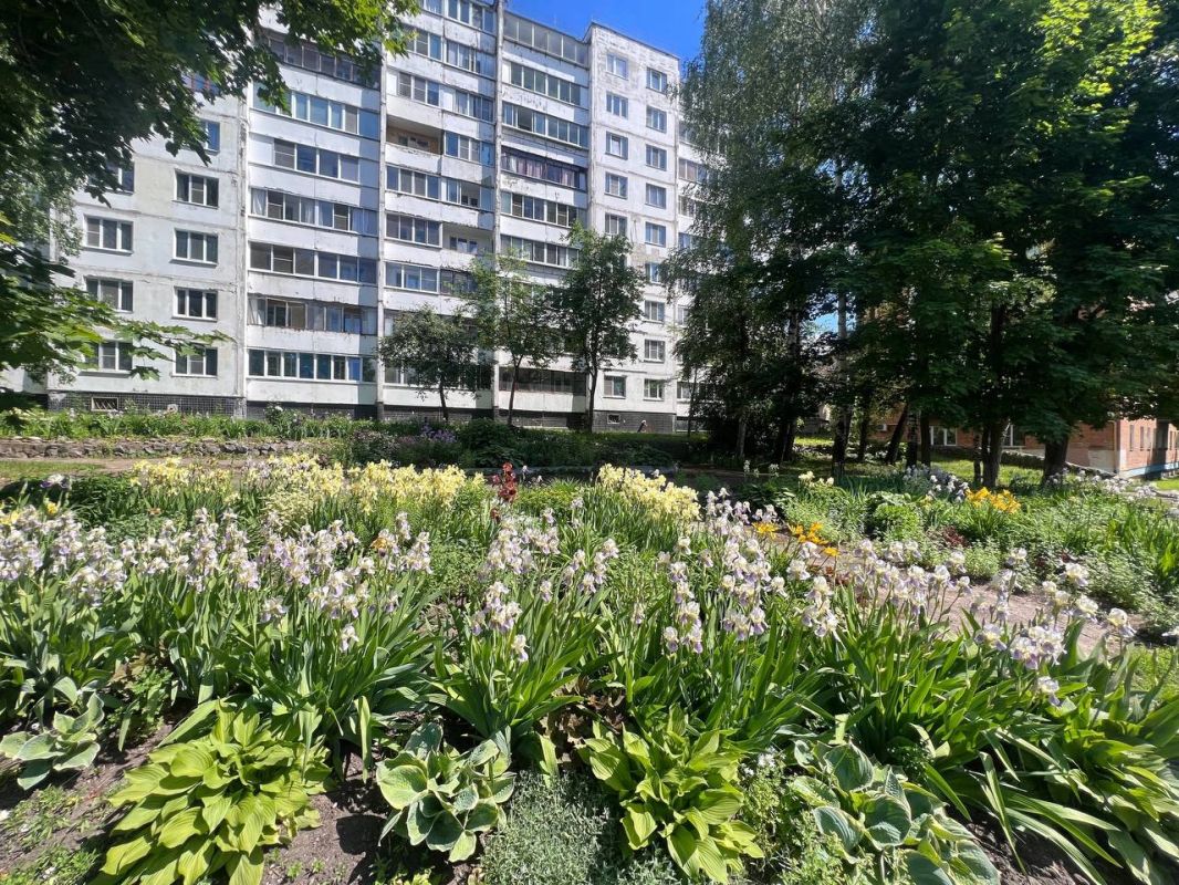 Конкурс «Лучший палисадник Дмитровского округа» Конкурс «Лучший палисадник Дмитровского округа»