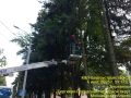 Сотрудники МБУ «Благоустройство СП» продолжают наводить порядок во всех населённых пунктах Сергиево-Посадского округа