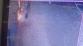 16-летнюю девушку будут судить за поджог АЗС в подмосковном Щёлково