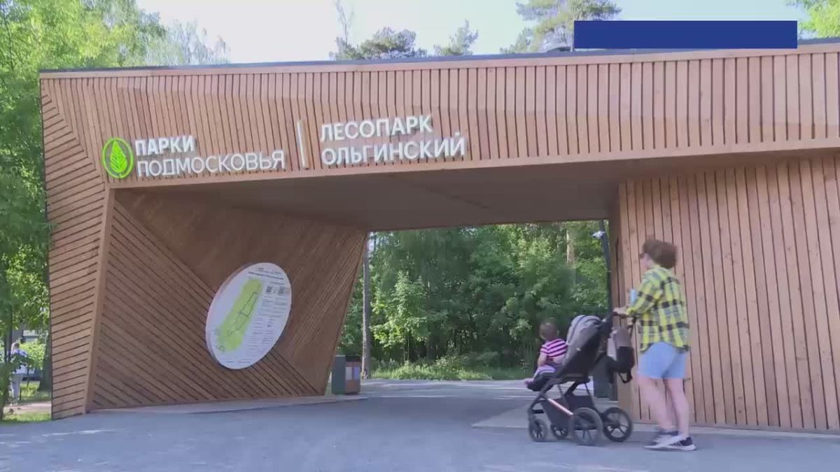 Ольгинский лесопарк: 71 га благоустроенного пространства для жителей Балашихи
