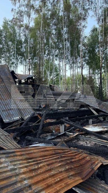 Серийный пироман превратил в пепел три дома семьи из подмосковного Ступино Серийный пироман превратил в пепел три дома семьи из подмосковного Ступино