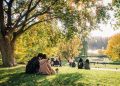Как дачники превращают осенние листья в полезные ресурсы