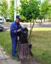 За минувшую неделю рабочие устранили 1060 м ям