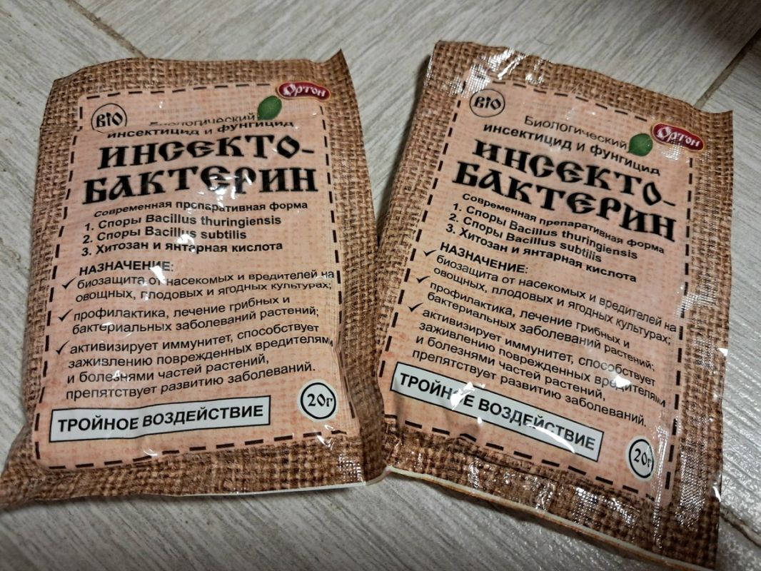 Почему биопрепараты не работают? Скрытые секреты и советы